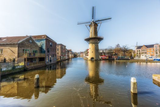 De beste plekken om te lunchen in Schiedam en omgeving